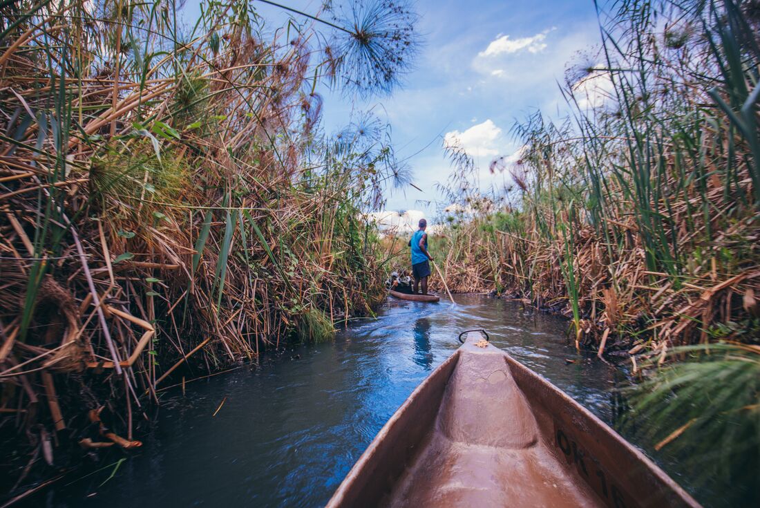 Traveller takes mokoro down the Okavango Delta
