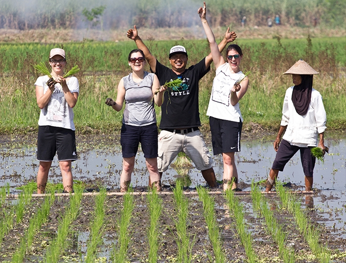 Learning about rice growing in Bali