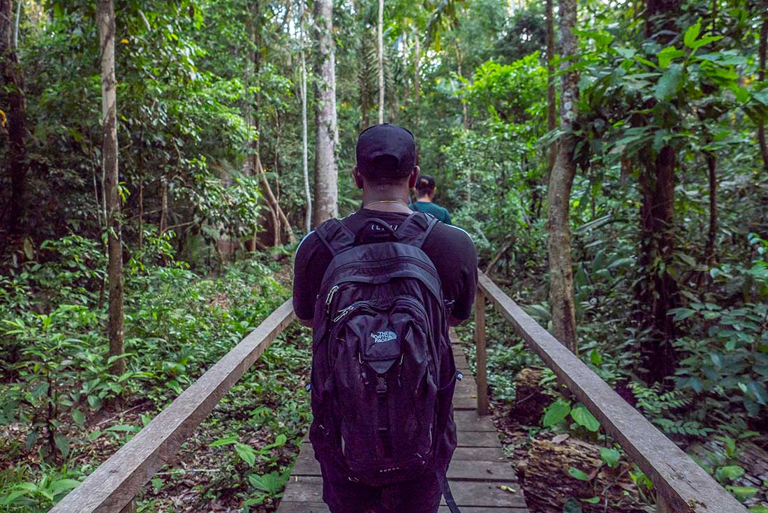 A group trek through the Amazon Jungle