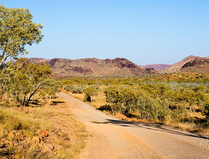 The Road to Fitzroy Crossing 
