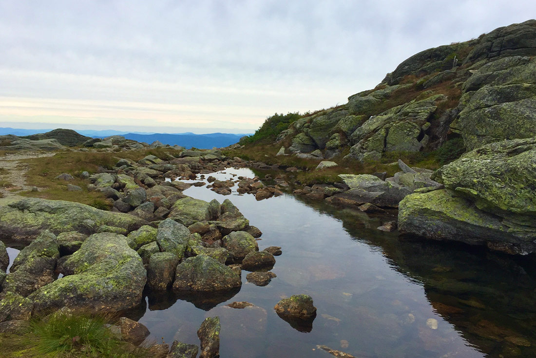 Small stream in the Appalachians, New Hampshire, USA