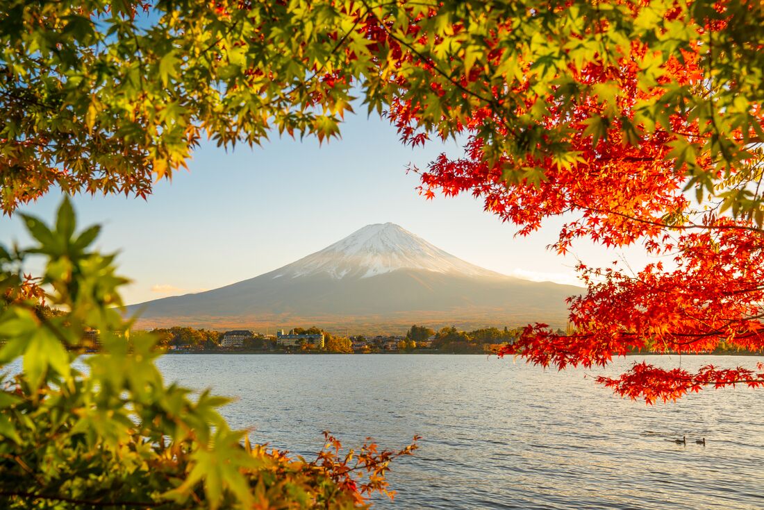 Mt Fuji seen from across a lake with edge of photo bordered by red autumn maple leaves