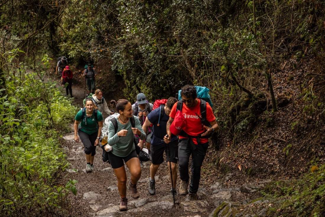 Intrepid travellers talking to leader while hiking hand-placed rock stairs amidst rainforest on the Inca Trail in Peru