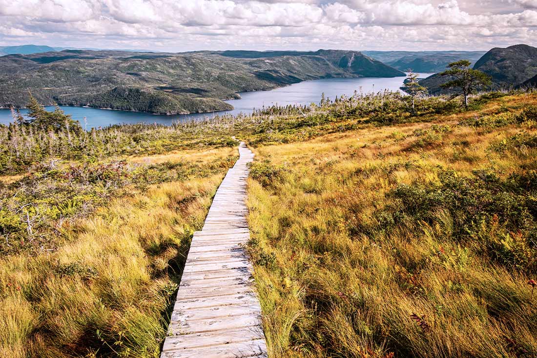 Boardwalk in Gros Morne National Park, Newfoundland, Canada
