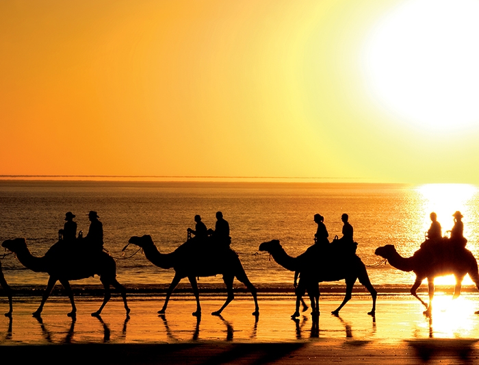 Camel riding on beach in Broome