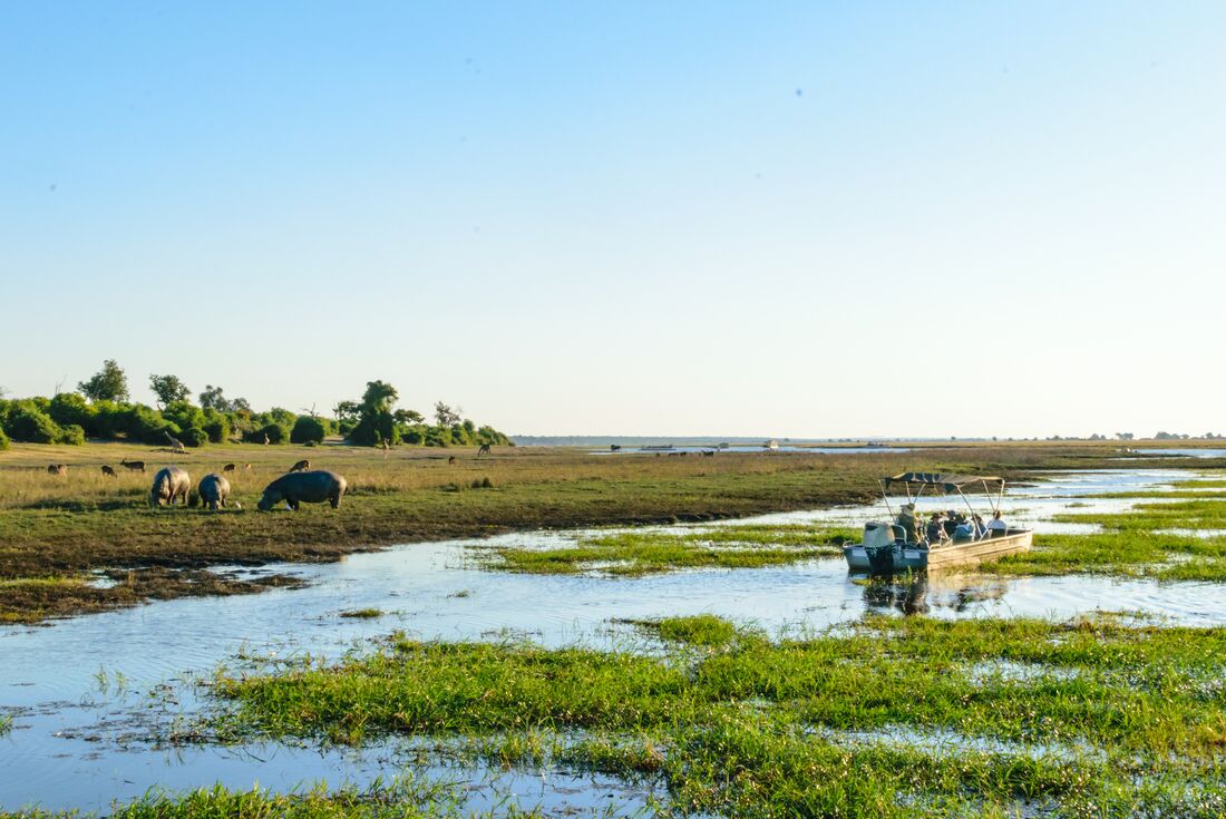 Take an optional boat cruise along Chobe River