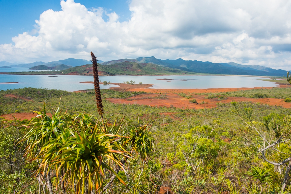 Overlooking the red earth river basin in Blue River National Park, New Caledonia