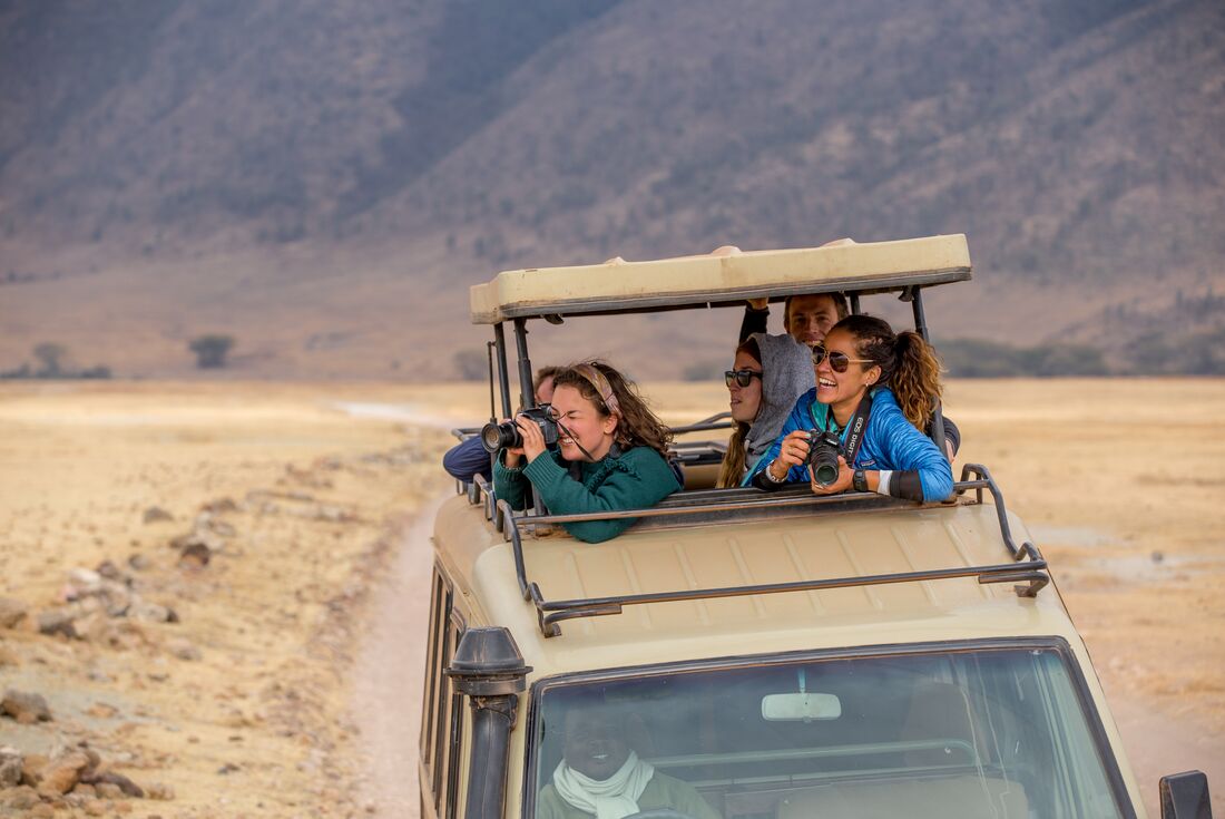 Get the perfect wildlife shot from the 4WD in Ngorongoro