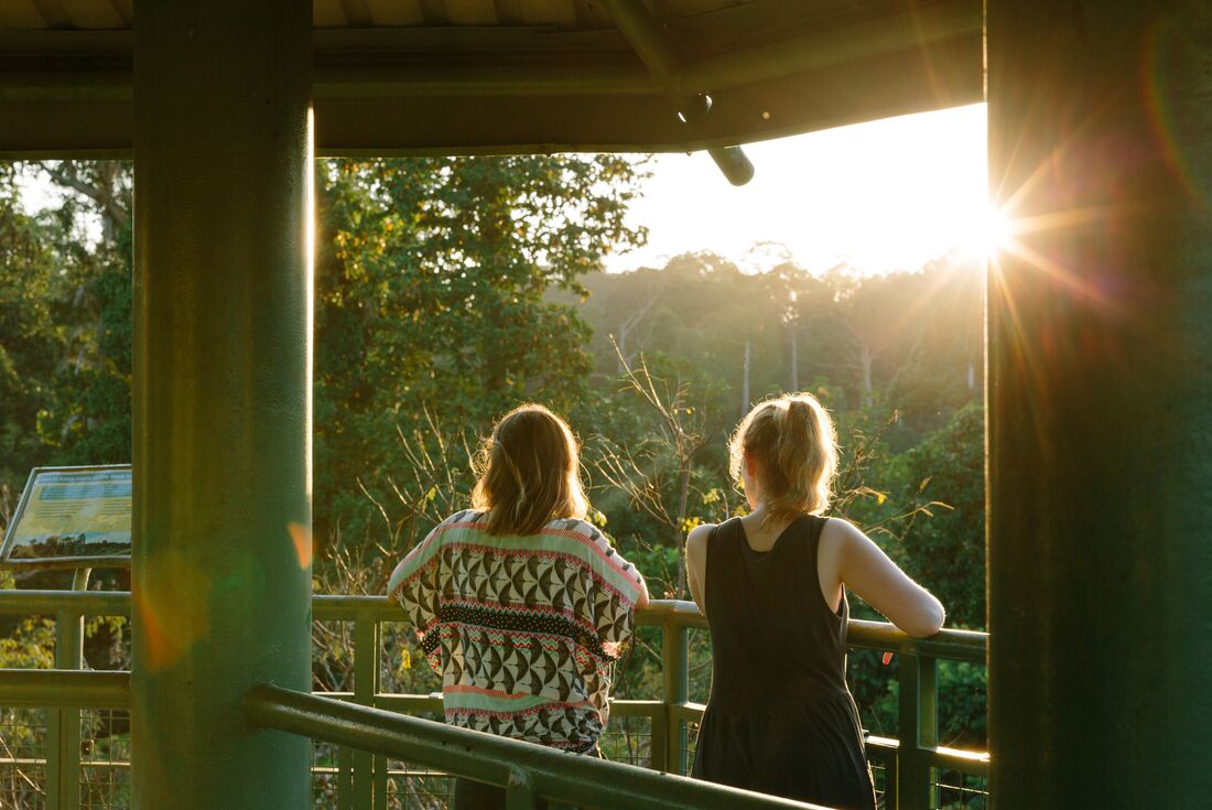 Watch the sunset in the Sepilok rainforest