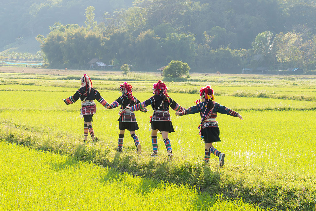 Chiang-Rai hilltribe peoples in a rice field