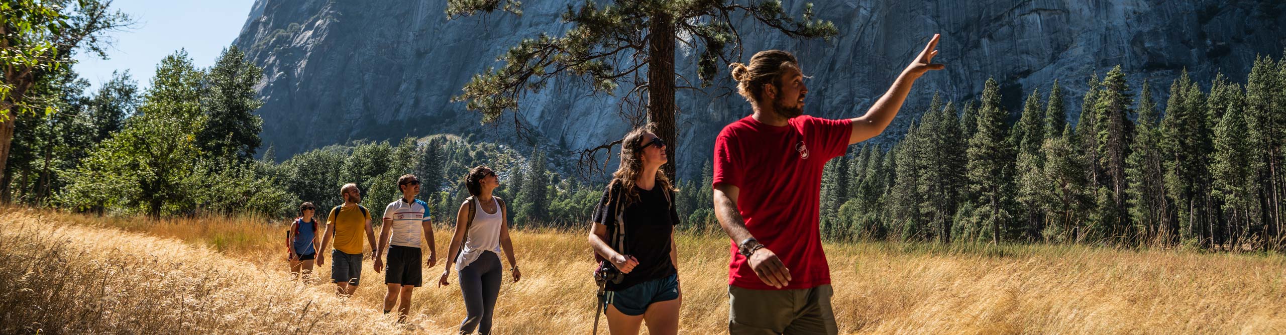 Tour guide and group walking though the long grass next to the mountain, Yosemite National Park, USA
