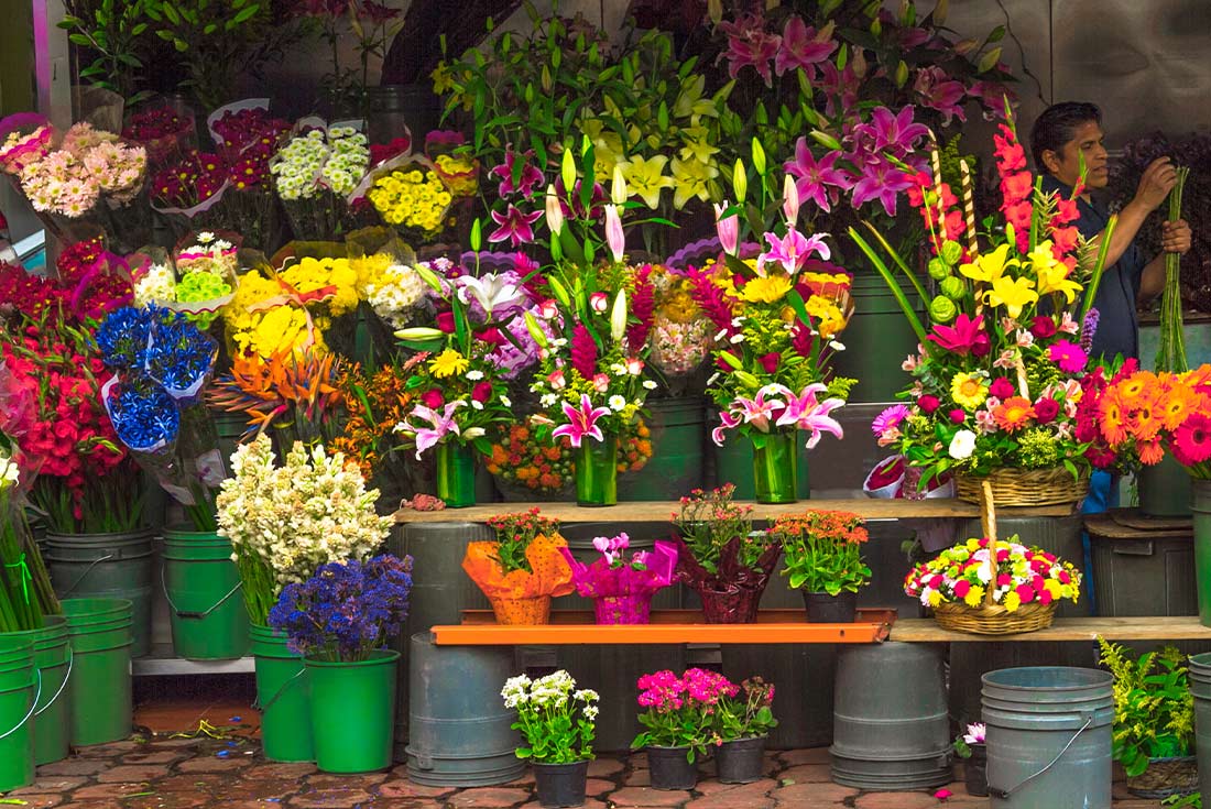 Flowers at Mercado de Jamaica flower market in Mexico City, Mexico