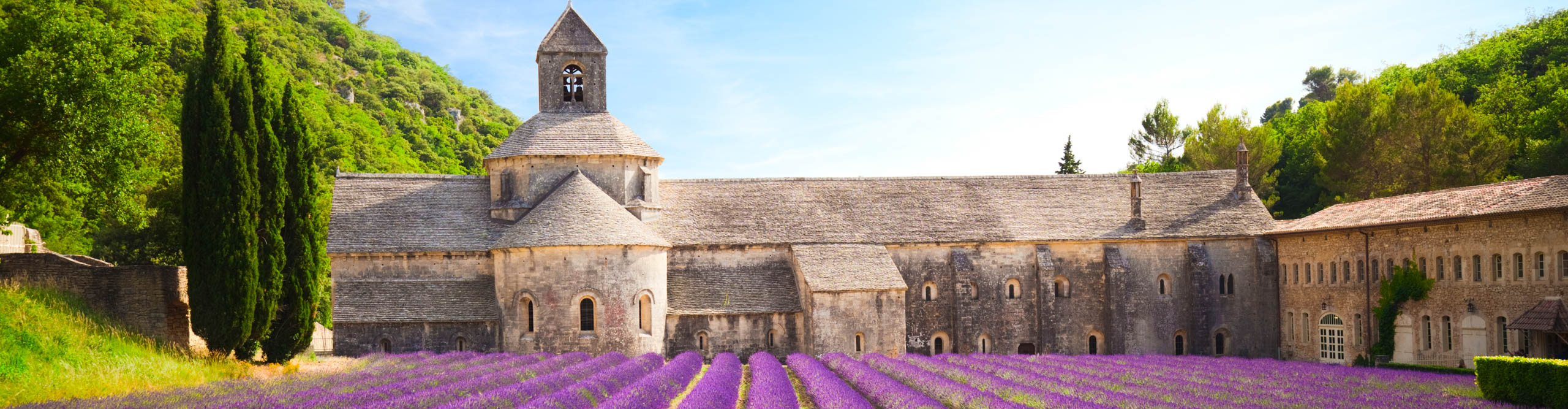 Senanque Abbey with blooming lavender field in Provence on a sunny day with blue skies