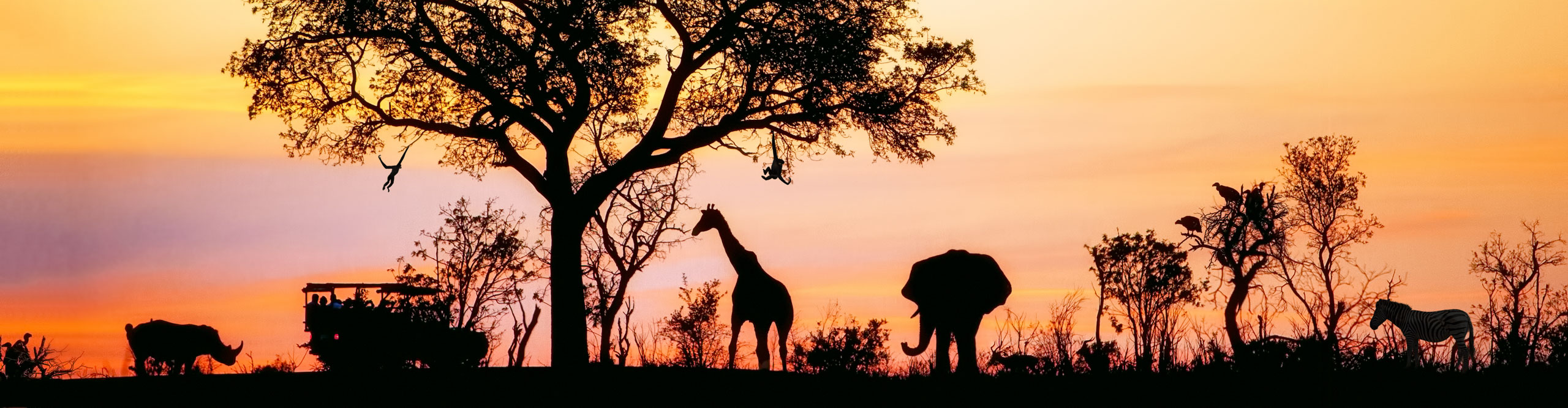 Silhouette of African safari scene with giraffe, elephant, rhino, and vehicle at sunset