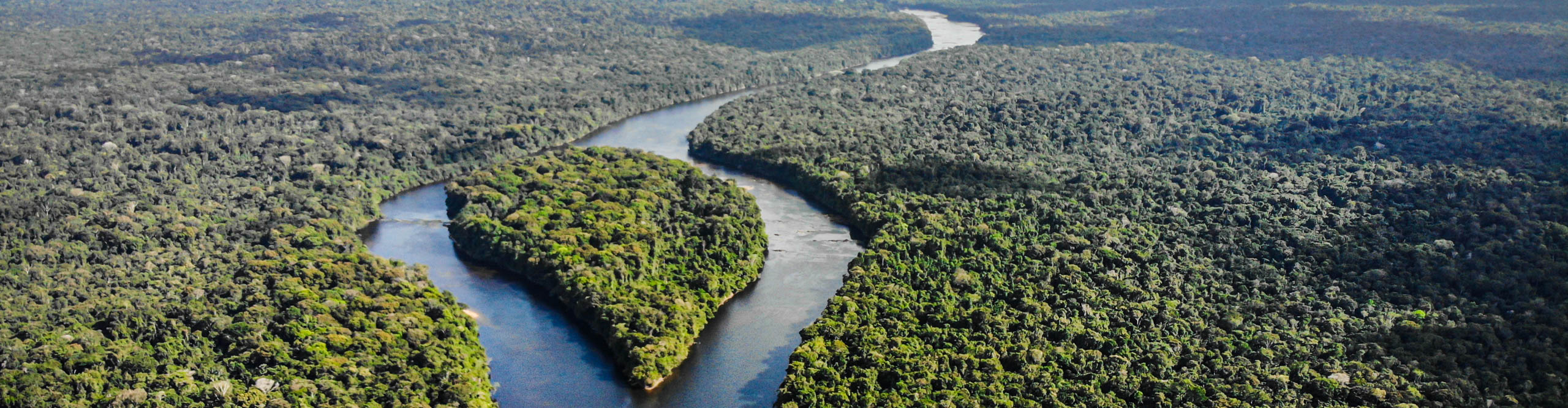 Aerial view of a river flowing through the rainforest in Guyana 