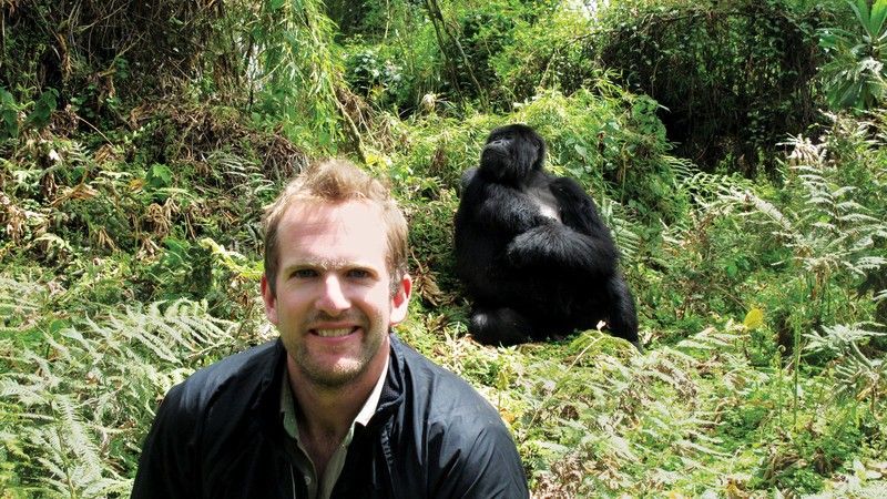 A man and a mountain gorilla in Rwanda