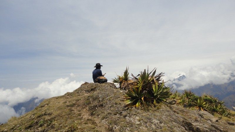 A man looks at the view on the Choquequirao trek