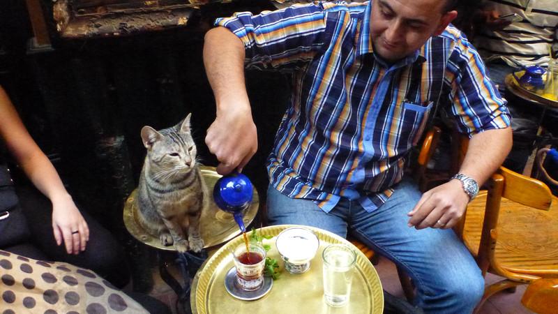 A man drinking tea with a cat