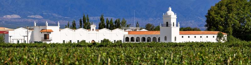GGPC - View of Mendoza vineyard and winery in Argentina
