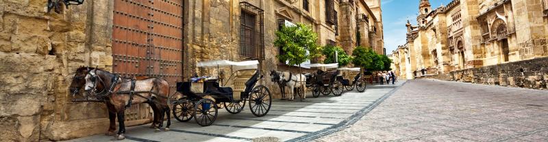 ZMPVC - Horses on the old streets and architecture of Cordoba, Spain