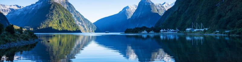 A panoramic view of Milford Sound's water and mountains