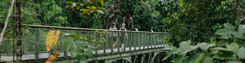 Two travellers cross bridge on rainforest walk in Malaysia