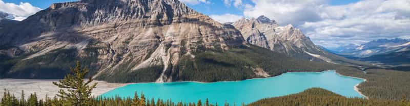 Vibrant colour of Peyto Lake on a sunny day in Canada