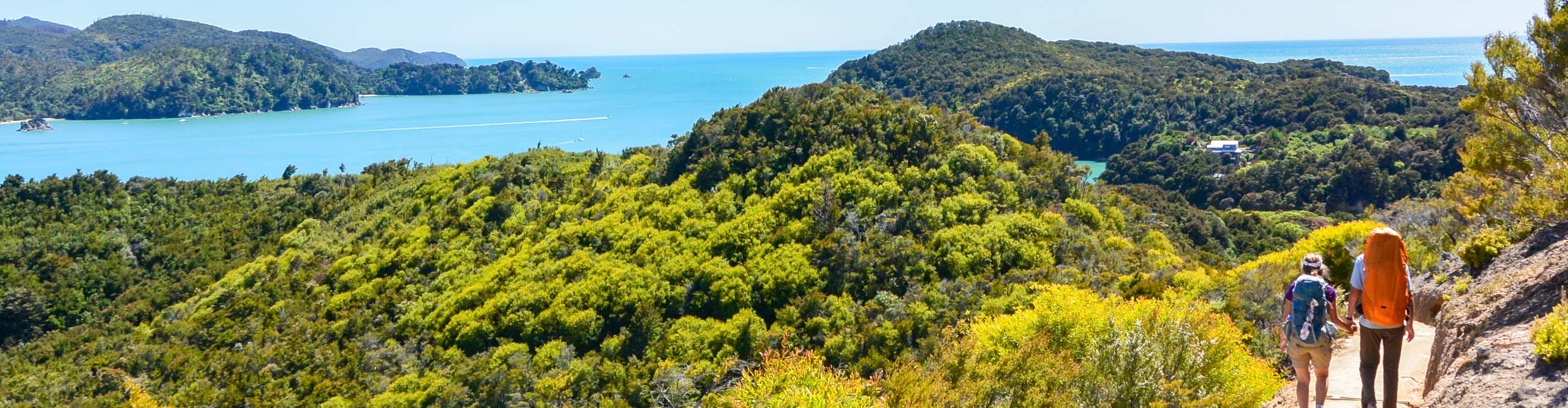 People hiking down a path in the Abel Tasman national lake, near a beach with blue water