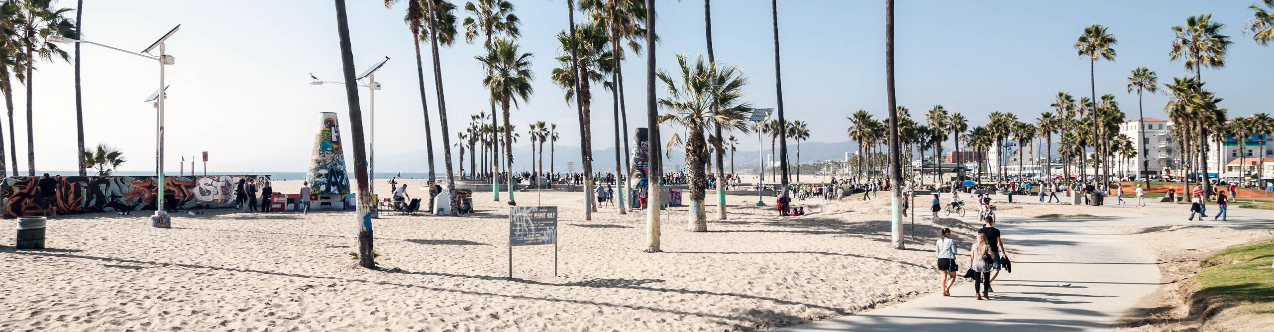 A street view of the palm-tree lined Venice Beach, USA
