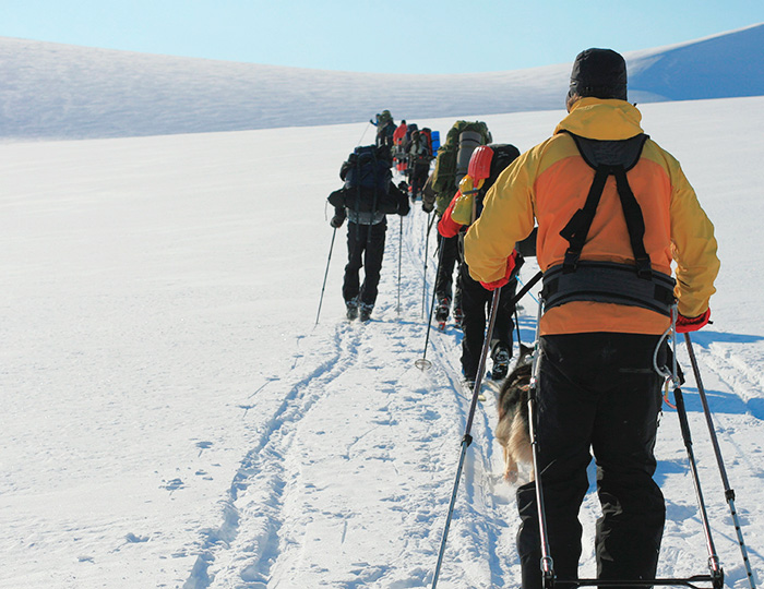 Trekking in the Arctic