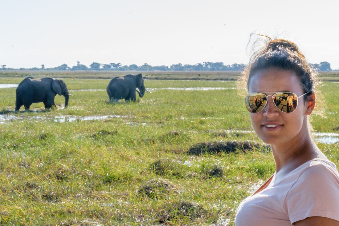Get an up close view of elephants in Chobe National Park