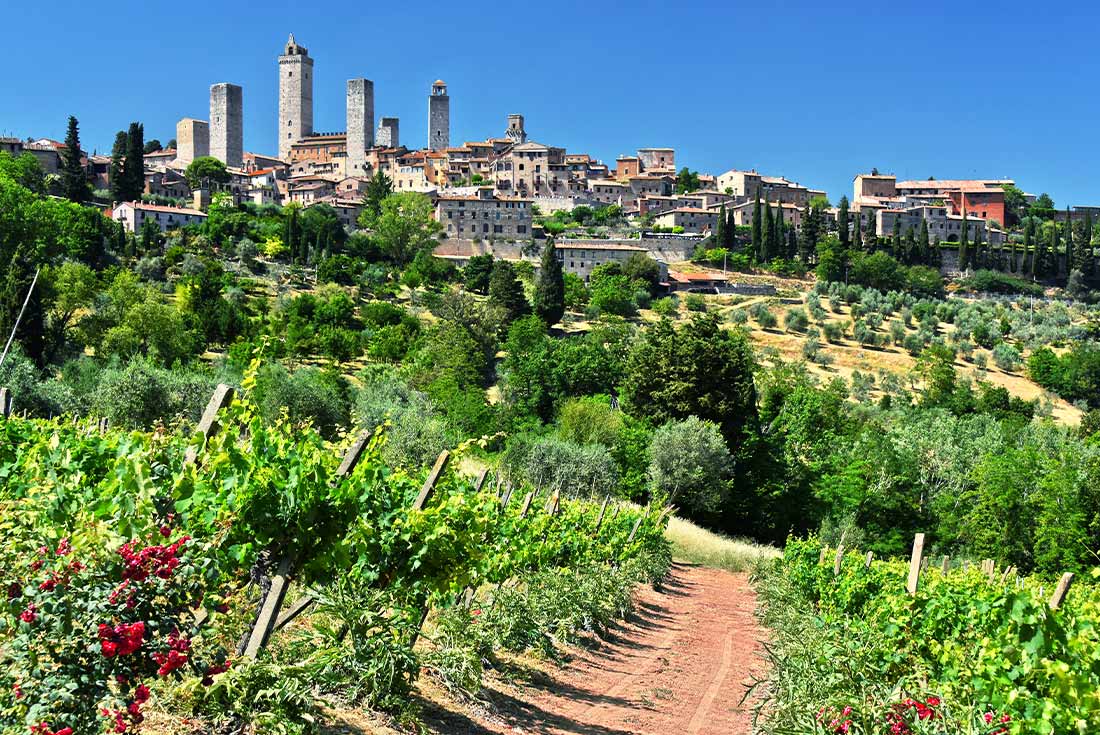 ZMPI - Bright day in the winery and vineyards of San Gimignano town, Tuscany Italy