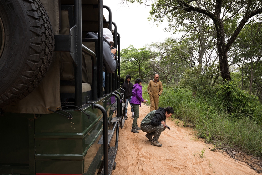 Intrepid travellers stopping their 4x4 journey to inspect some wildlife, South Africa