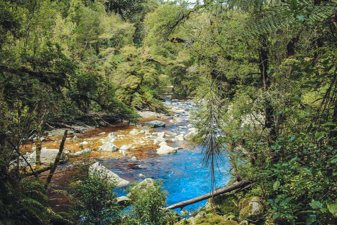 PHSW - View of Oparara River 