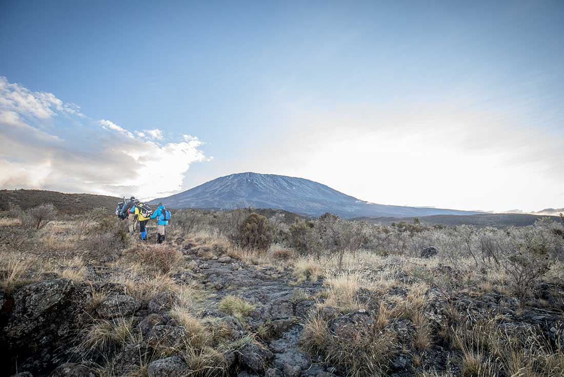 Passengers hike Mt Kilimanjaro 