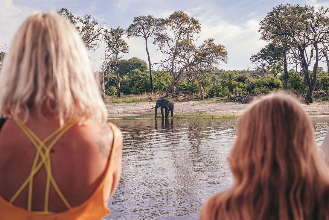 Two travellers look out on an elephant in Chobe National Park
