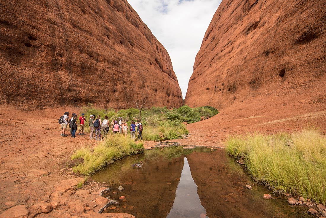 Leader led group hike through Uluru