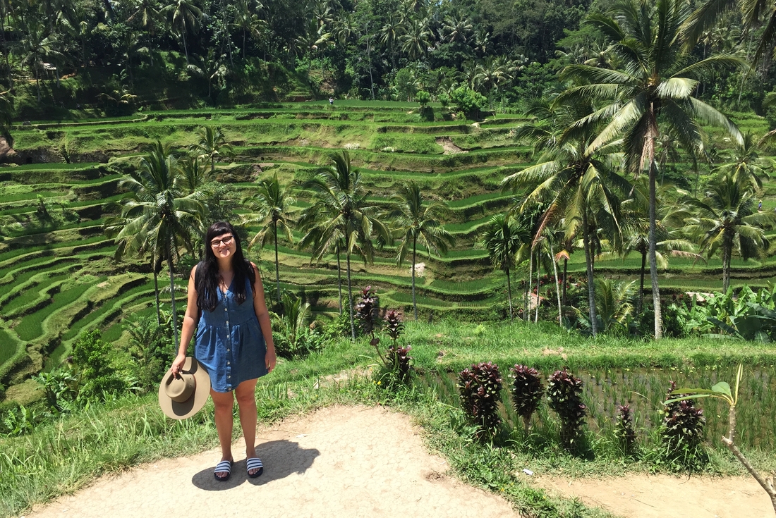 Ubud rice terraces in Bali