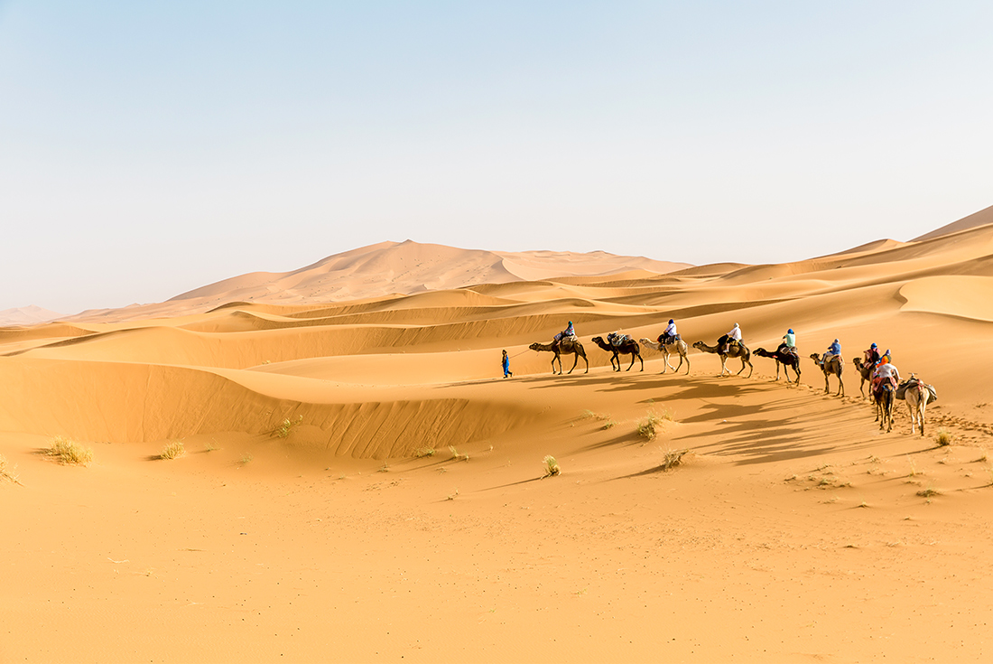 Group riding camels through Sahara Desert, Morocco