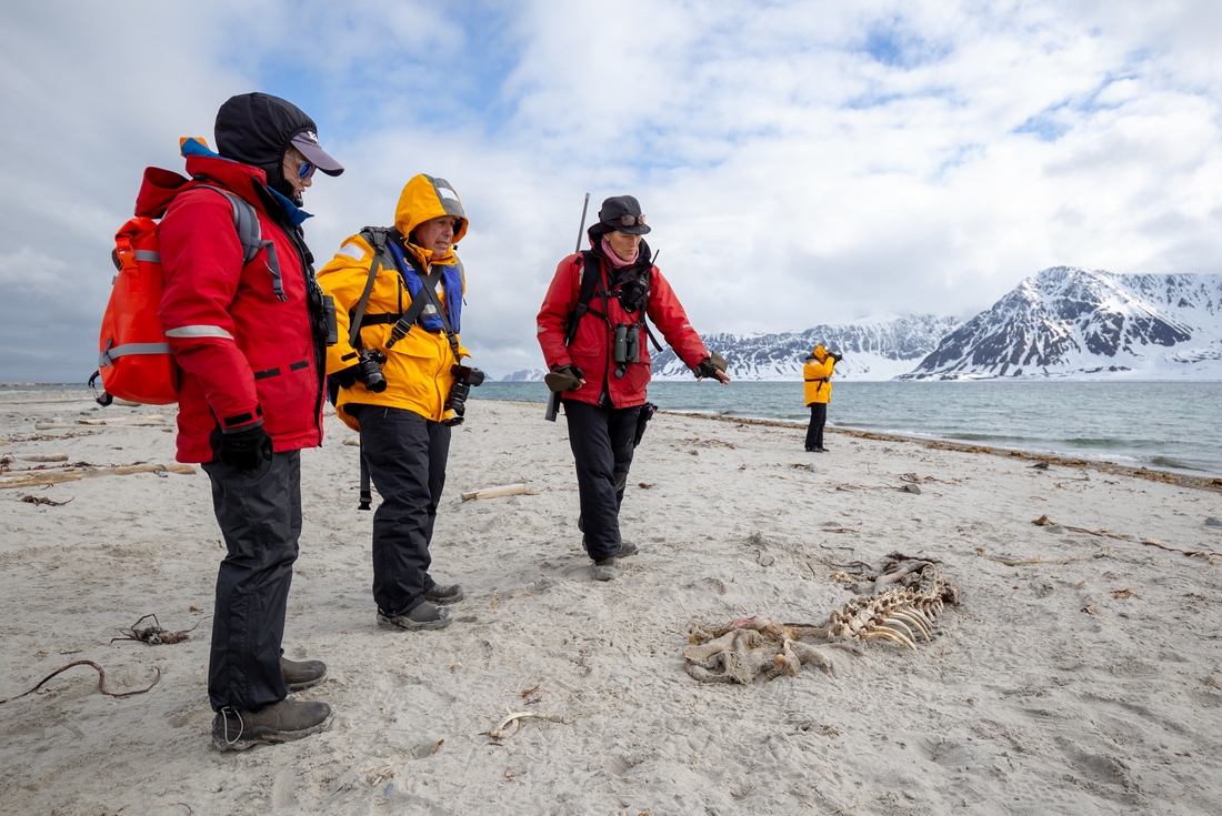 Join expedition experts, including marine biologists.