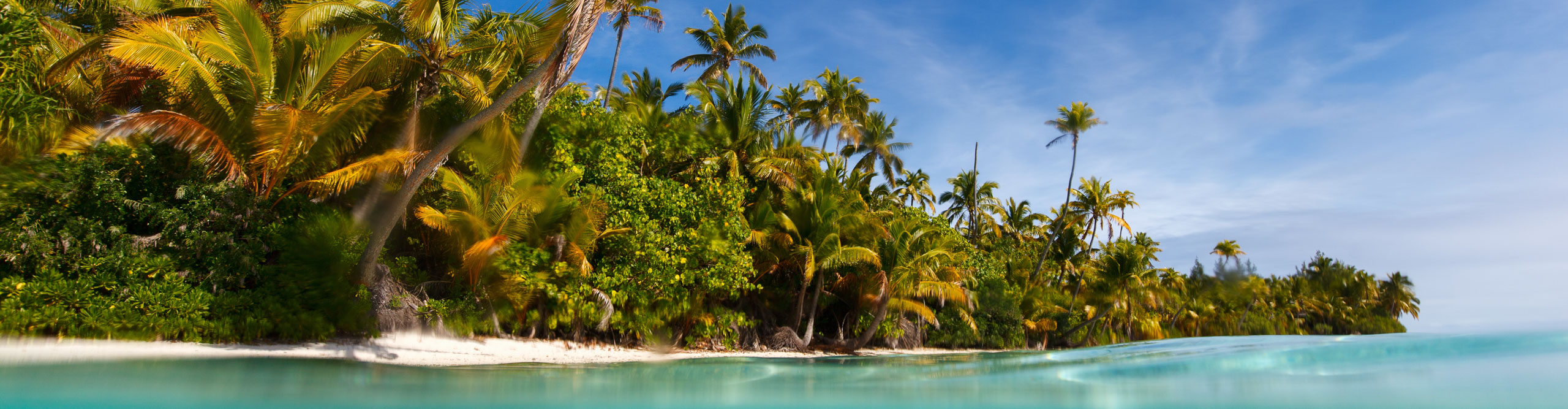 View of beach and palm trees form the water on the beach at Aitutaki, Cook Islands 