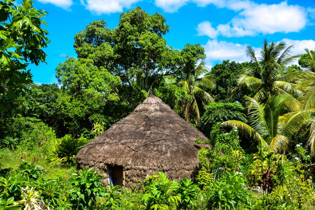 Traditional Kanak thatch hut in jungle in New Caledonia