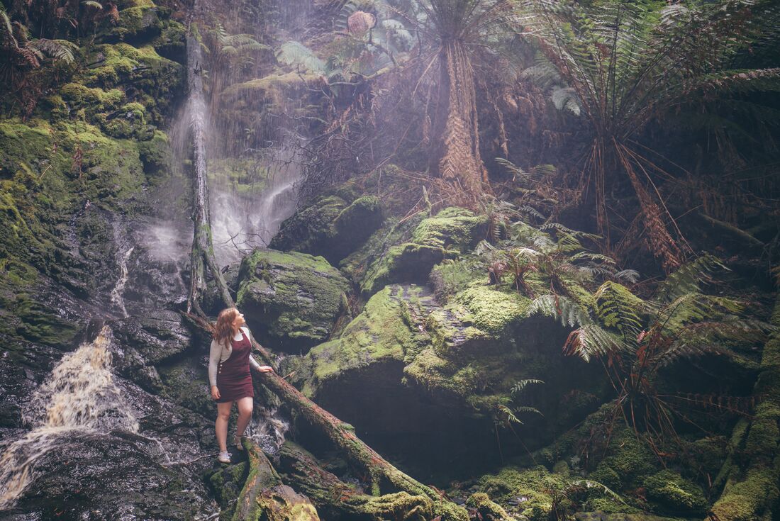 australia_tasmania_tarkine_rainforest_traveller_waterfall