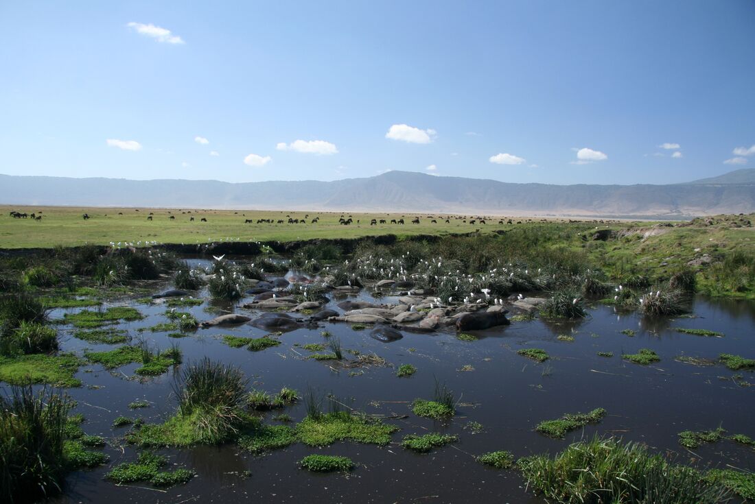 tanzania_ngorongoro-crater_nature-reserve-lake