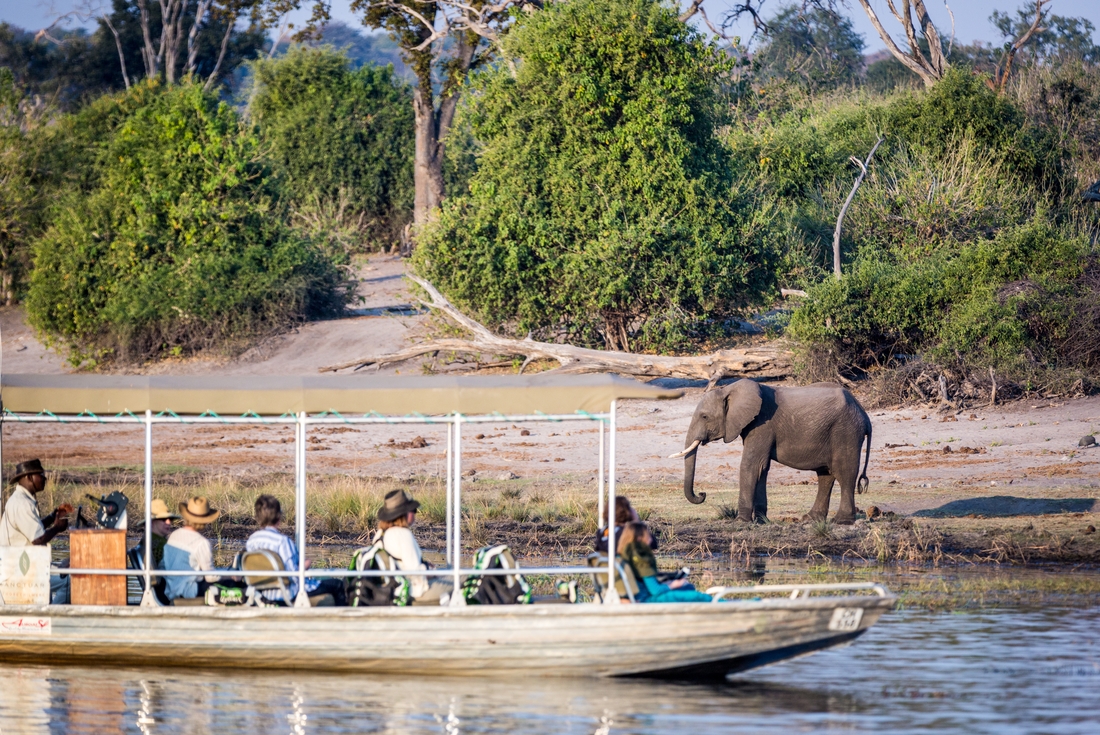 Botswana Chobe National Park cruise elephants