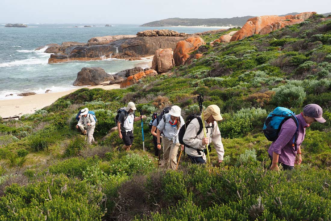Travellers hiking uphill on the Cape to Cape track, Australia