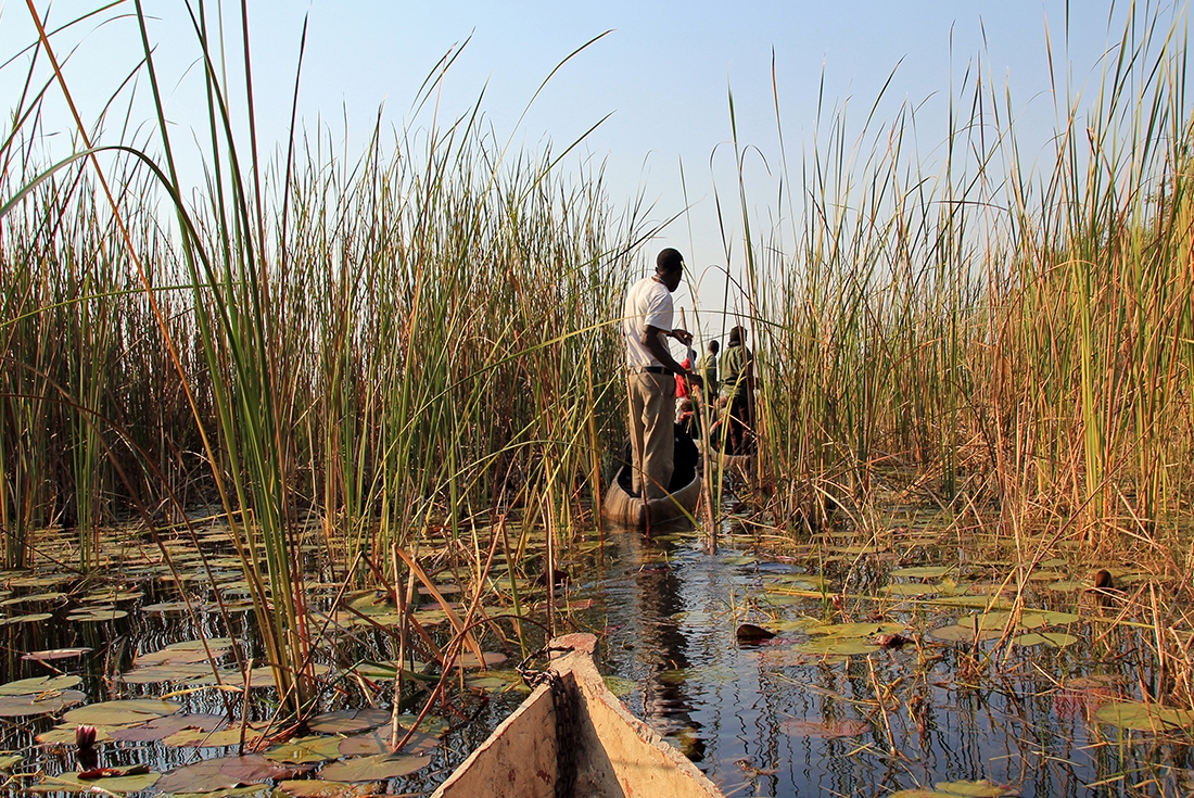 Mokoro Canoeing at the Okavango Delta