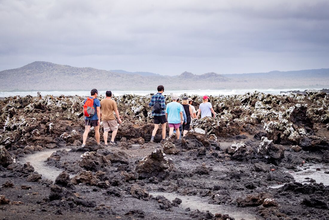 Walking along the volcanic rocks on the coast of Isla Isabela, Galapagos Islands