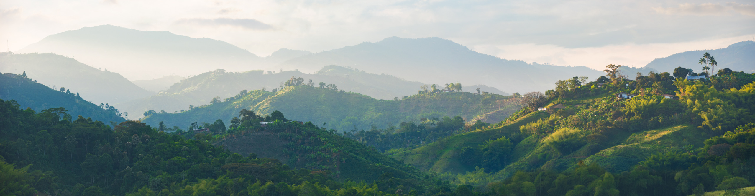 Misty skies at sunset over the green rollings hill of a coffee plantation in Colombia 