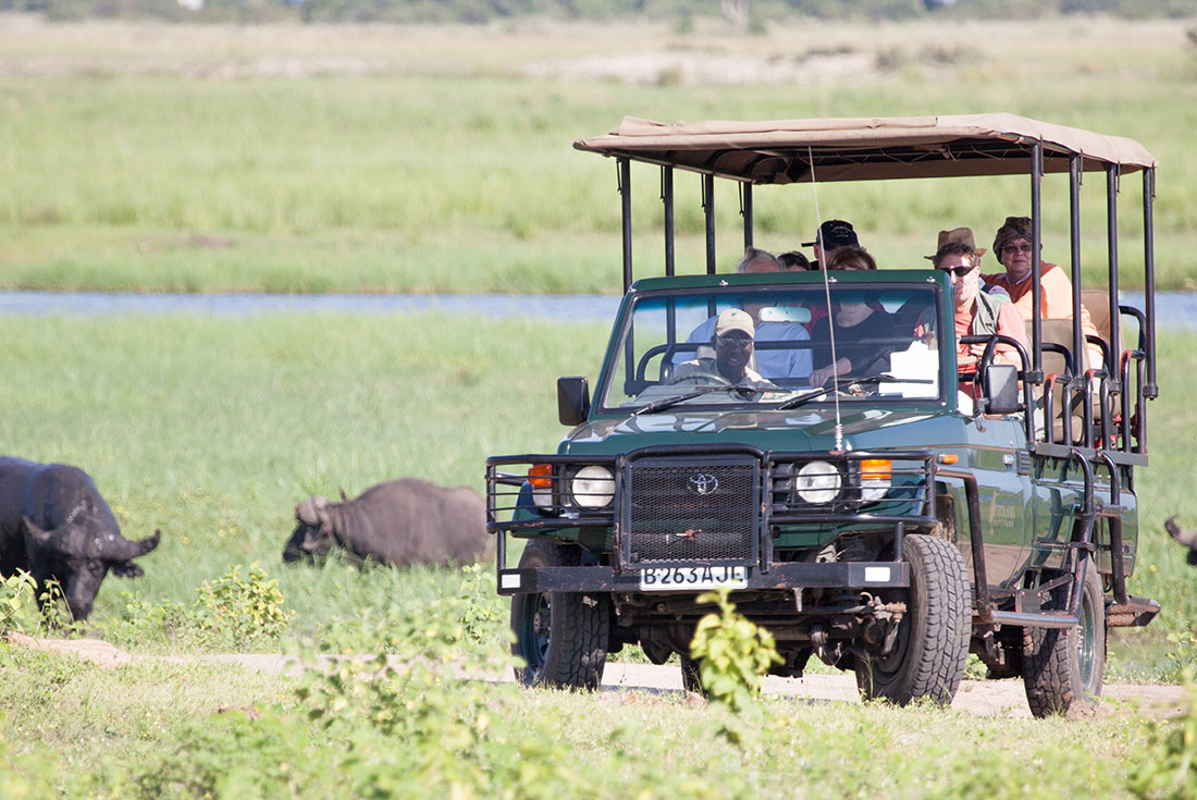 UBPB - Travellers on game drive spotting animals in Chobe NP, Botswana 